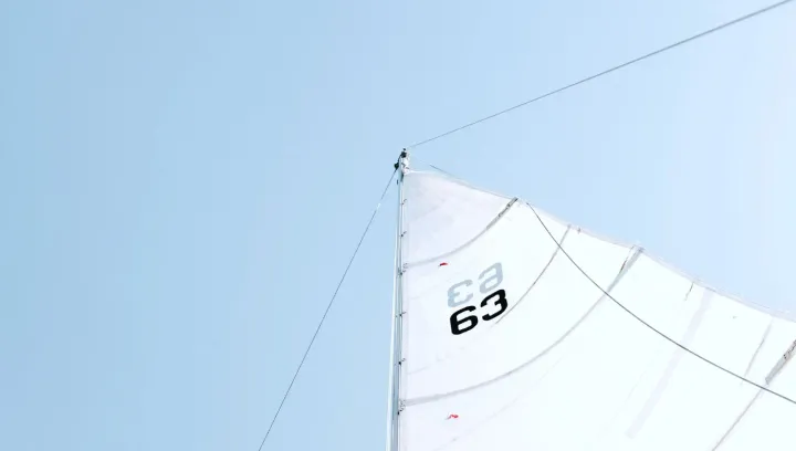 What Is the Difference Between a Head Sail and a Jib?